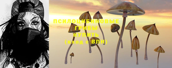 гашик Армянск
