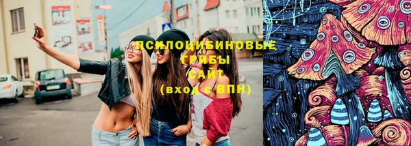 гашик Армянск