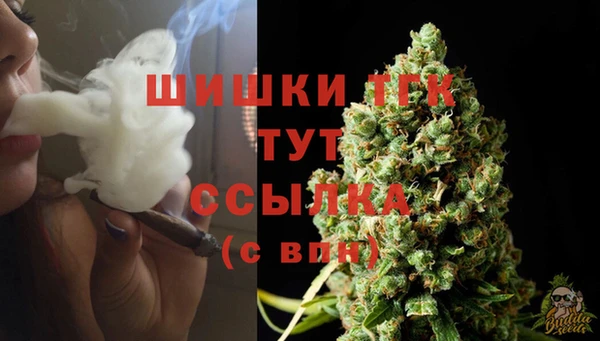 гашик Армянск