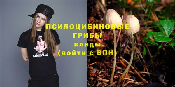 СК Аркадак